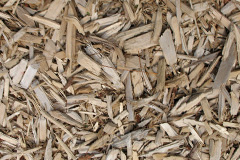 biomass boilers Wood Bevington